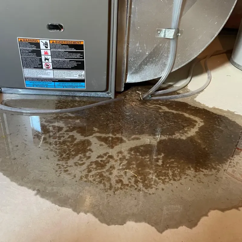 Appliance Leak Cleanup in Dunes City, OR